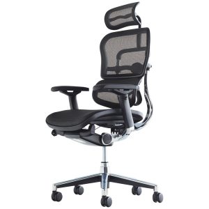 エルゴヒューマン